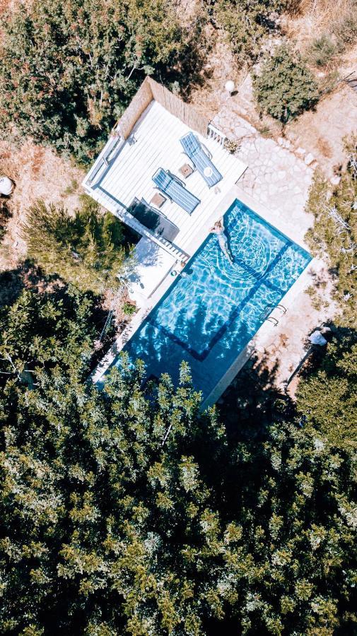 Jasmin Suite סוויטת יסמין Amirim Dış mekan fotoğraf